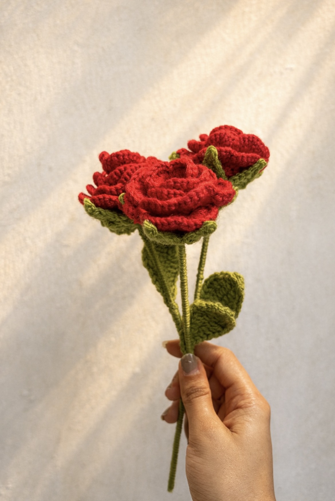Red rose flower